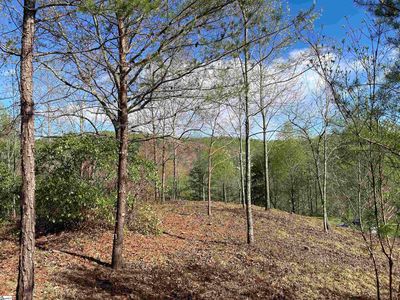 775 Blue Bonnet Trl, Marietta, SC, 29661
