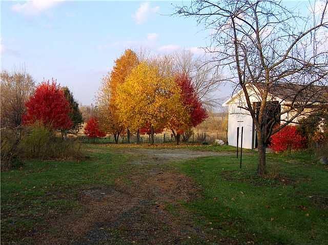 2nd image of 2028 Rolfe Rd