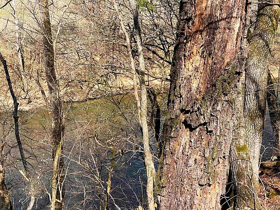 2nd image of State Highway 56
