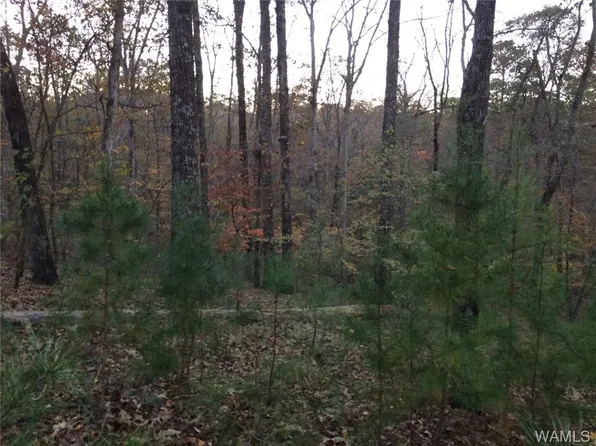 13598 Martin Road Spur, Northport, AL 35473