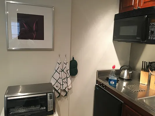 Rented by TurfNYC | media 37