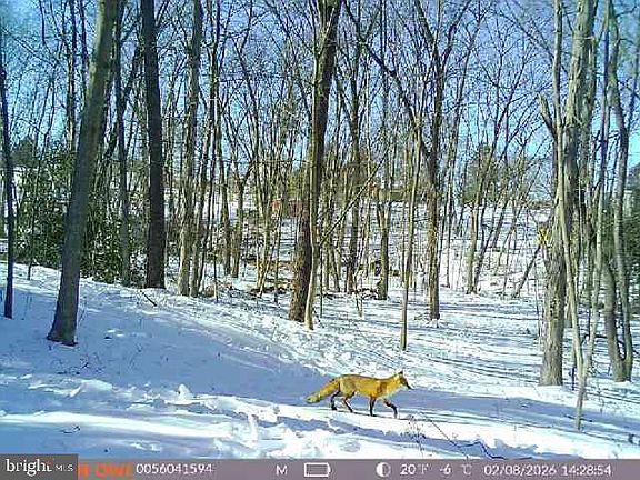 5th image of 401 Beck Mill Rd