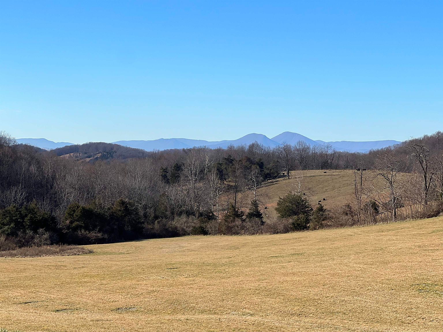 25 Koogler Trl, Raphine, VA 24472 Zillow