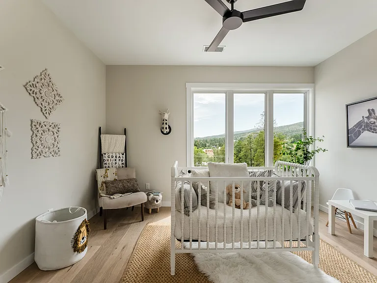 3rd Bedroom - Staged