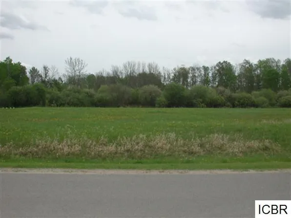 LOT 3 Tamarack Ln, Deer River, MN 56636
