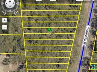 0 Treiman Blvd, Webster, FL 33597