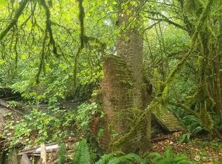 11037 Lundeen Rd SW, Rochester, WA 98579