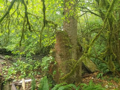 11037 Lundeen Road SW, Rochester, WA, 98579