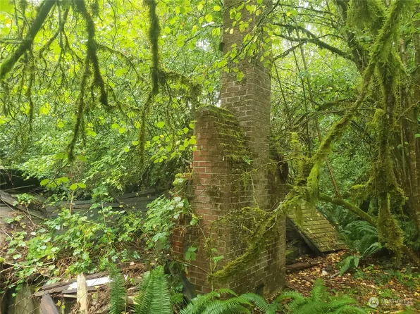 11037 Lundeen Road SW, Rochester, WA 98579