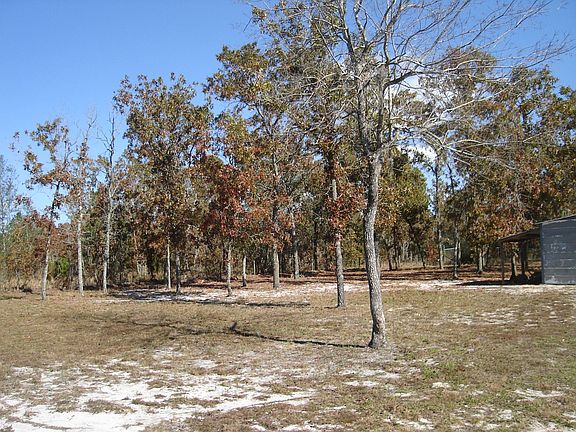 Partial Backyard