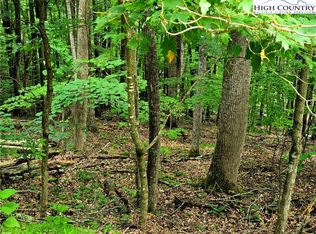 Red Fox Trl, Boone, NC 28607