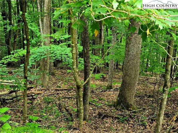 TBD Red Fox Ridge, Boone, NC 28607