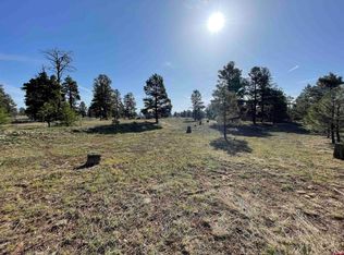 27 Mohawk Ct, Pagosa Springs, CO 81147
