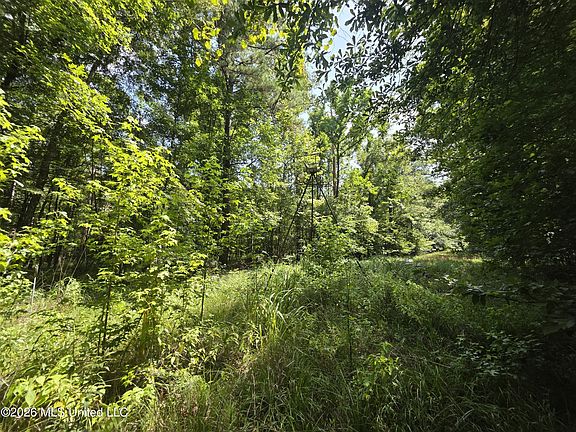 3rd image of Oldenburg Rd