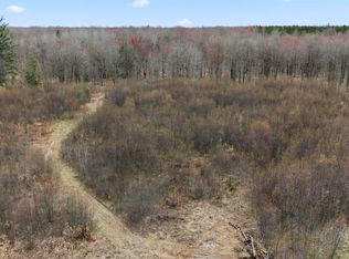 PARCEL E 32nd Rd #A, Cadillac, MI 49601