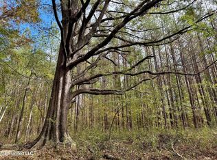 Yandell Rd, Madison, MS 39110