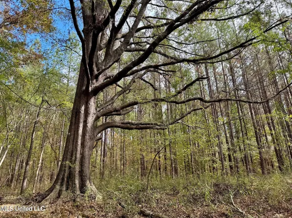 Yandell Rd, Madison, MS 39110