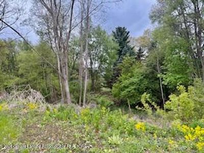 5521 Timothy Ln, Bath, MI, 48808