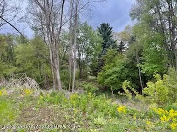 5521 Timothy Ln, Bath, MI 48808