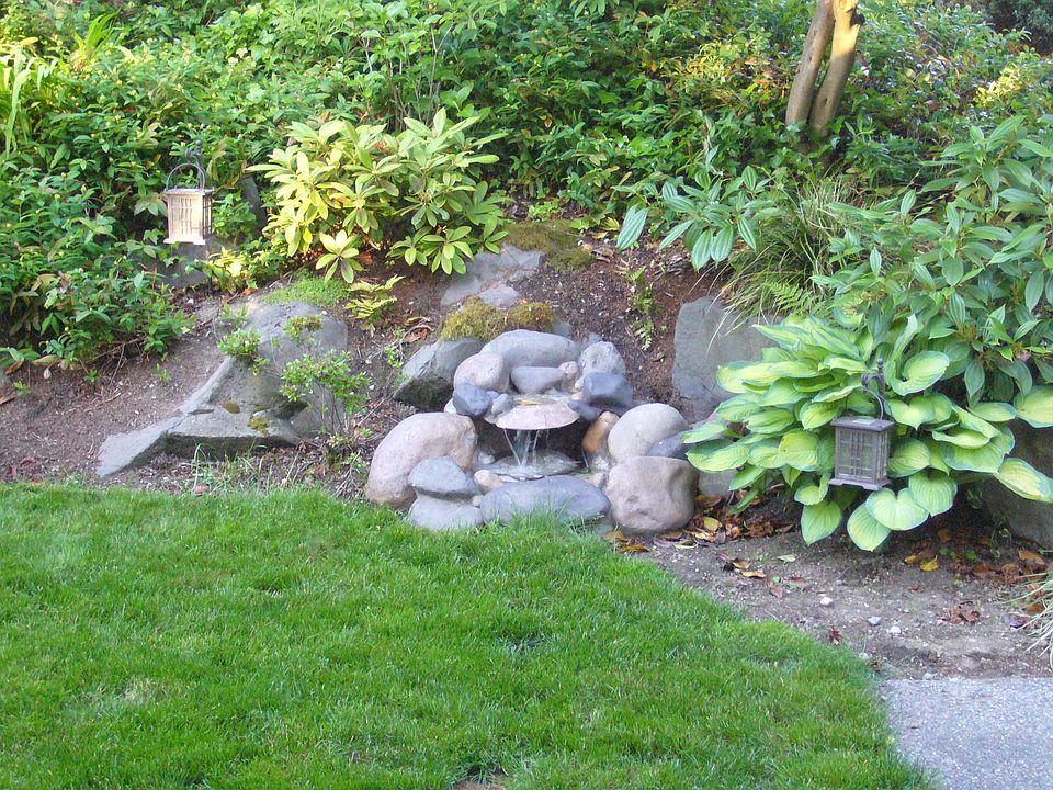 Water feature front yard