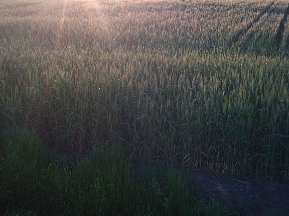 Home for Sale in Virginia Beach, Virginia $550,000