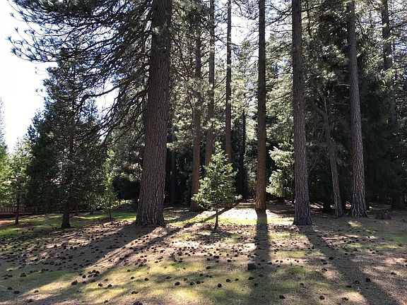 2nd image of 5308 Blue Mountain Dr