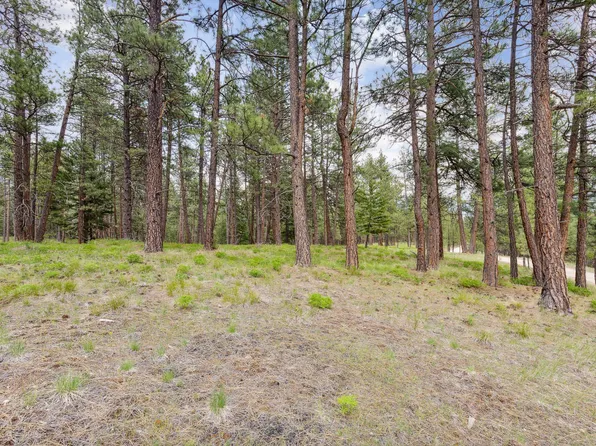 Nhn Bourne Loop Lot A-b, Victor, MT 59875