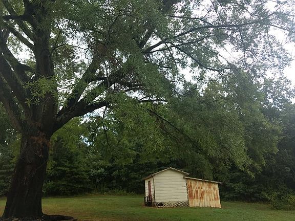 Storage shed in backyard
