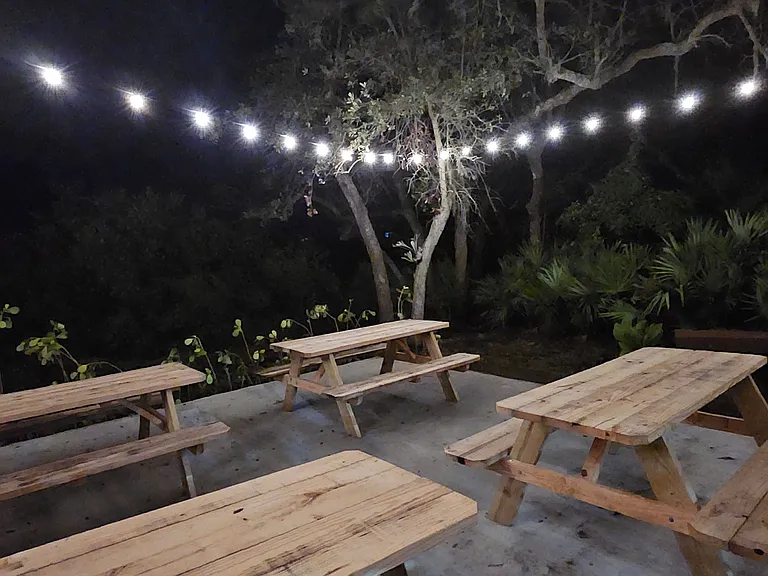 1401 S Palmetto Ave — Photo 21