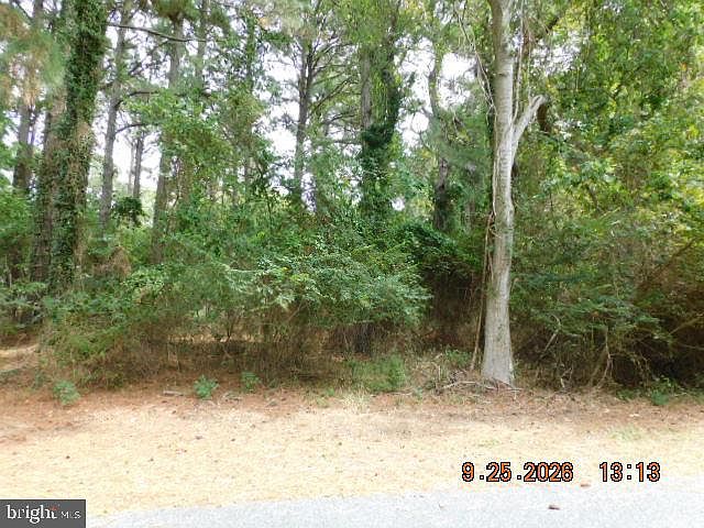 1st image of 100 Roland Parks Rd