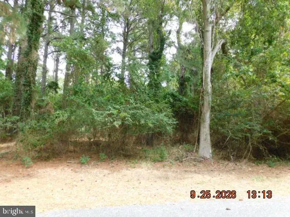 100 Roland Parks Rd, Chance, MD 21821