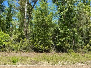 LOT 41 NW Blue Jay Trl #41, Jennings, FL 32053