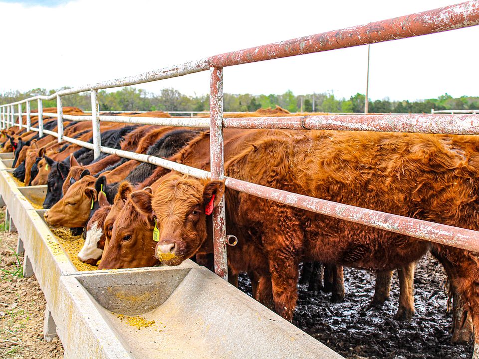 1st image of 1602 NE 1289 Road