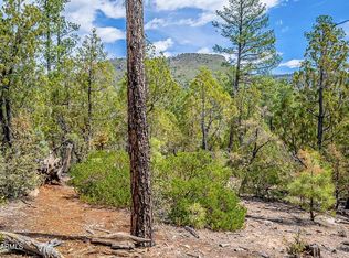 0 N Fawn Dr #1B, Pine, AZ 85544