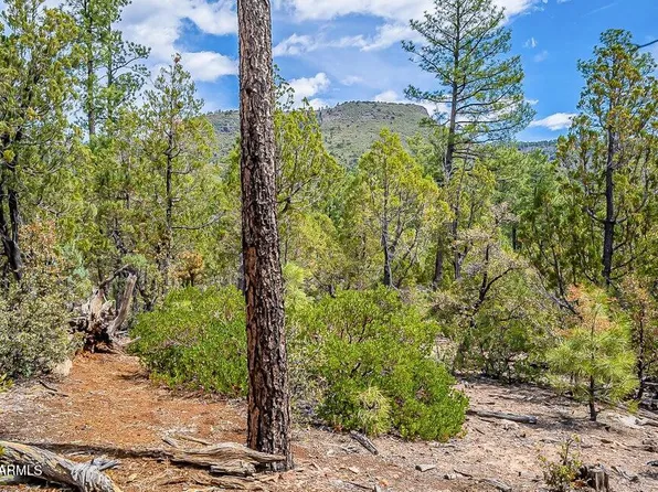 0 Fawn Dr -- #1B, Pine, AZ 85544