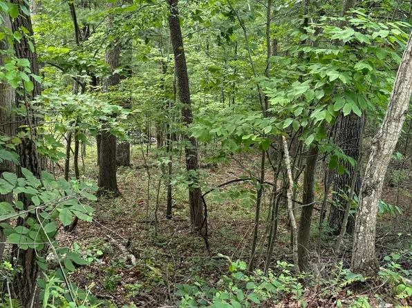 Spring Hollow Rd, Front Royal, VA 22630