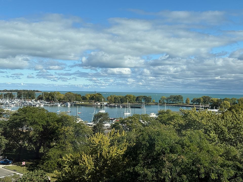 View from Living Room
