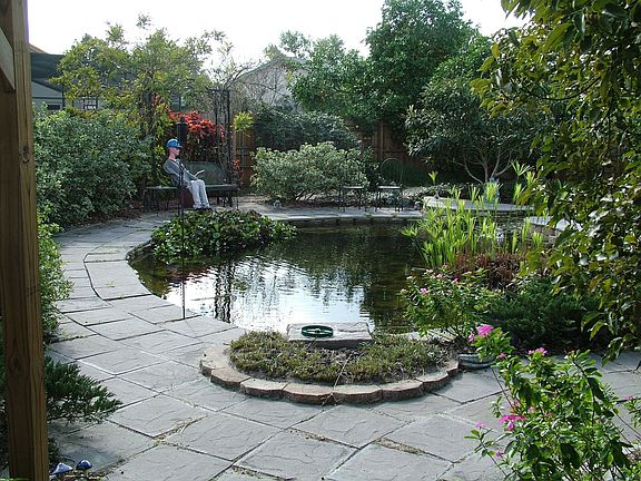 Koi Pond
