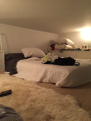 Rented by The Downtown LLC | media 44