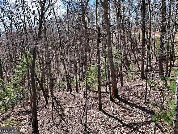 5th image of LOT 12 Native Trl