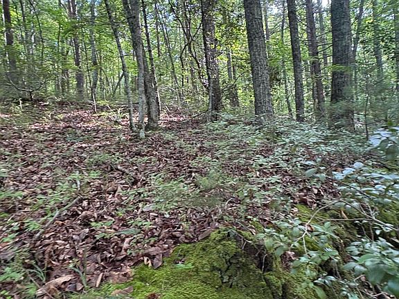 4th image of 2 Old Furnace Rd