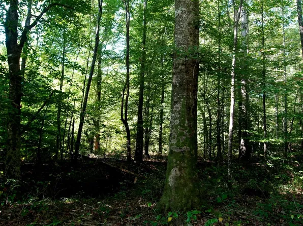 0 Ables Rd, Cherokee, AL 35616