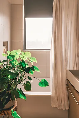 Rented by Owner | media 16