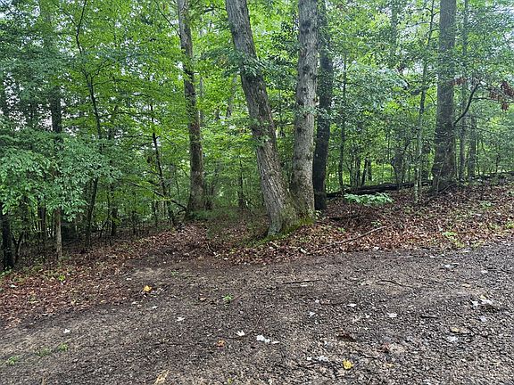 2nd image of 8 Cedar Hill Rd