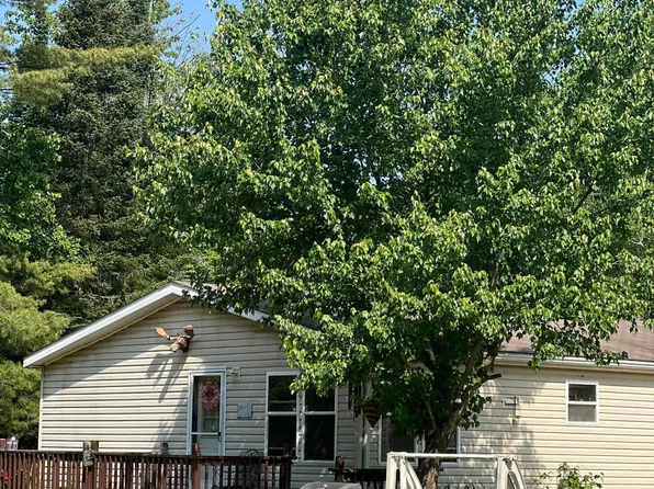 577 Wilderness Trl, Saint Helen, MI 48656