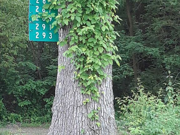 4th image of 287 S Side Dr