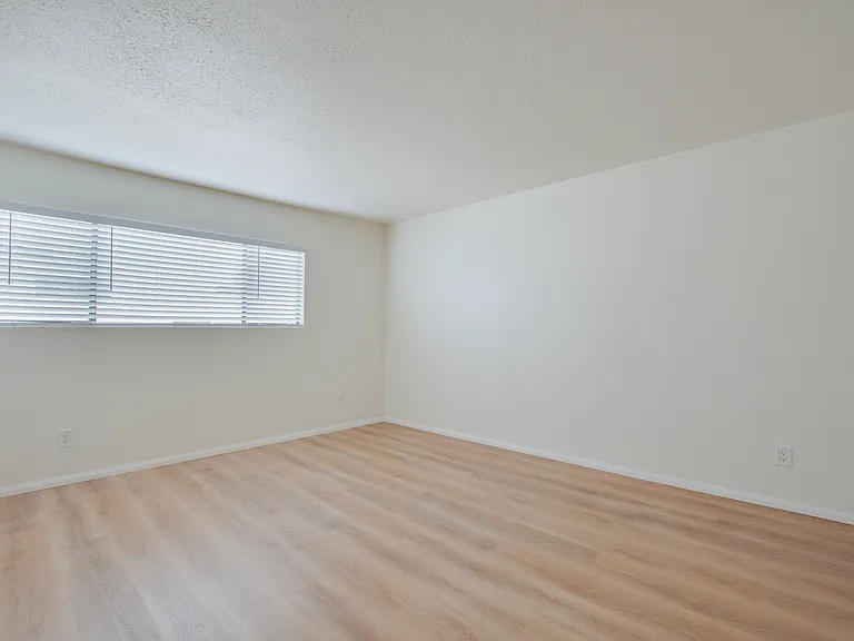 7413 Caminito Carlotta — Photo 16