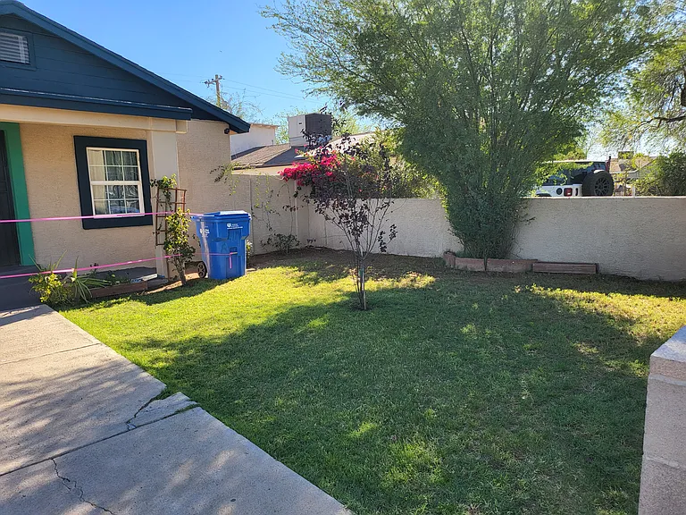 Green lush lawn with pretty flowers and a colorful Plum Tree that offers beautiful Pink Flowers. A Vine on Fence that blooms white flowers and a rose bush that should bloom fresh pretty flowers...