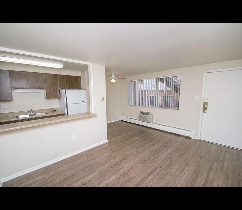 Living room and kitchen