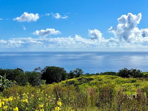 5th image of 32-2471 Stone Rd